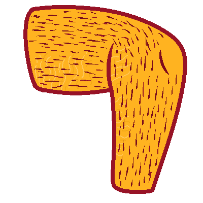 a stylized drawing of a leg facing the left with hair and stretch marks.